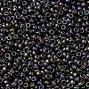 MIYUKI Round Rocailles Beads X-SEED-G009-RR2019-3