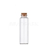 Glass Empty Wishing Bottle LS-PW-WG17389-08-1