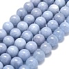 Natural Malaysia Jade Beads Strands G-L645-A01-10mm-11-1