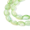 Natural Trochus Shell Beads Strands SHEL-K006-19-01C-3