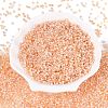 Picasso Glass Seed Beads SEED-Q041-02E-2