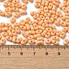 Baking Paint Glass Seed Beads SEED-K009-01A-13-4