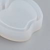 Shaker Mold LS-DIY-G017-I04-3
