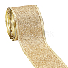 Sparkle Wired Edge Polyester Ribbon OCOR-WH0071-026A-1