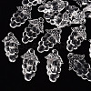 Autumn Theme Transparent Acrylic Beads TACR-S154-60B-205-1