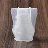 Christmas Theme DIY 3D Snowman Display Decoration Silicone Molds DIY-G058-B01-2