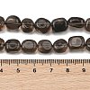 Natural Ice Obsidian Beads Strands G-P623-A01-02-5