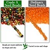 12/0 Grade A Round Glass Seed Beads SEED-Q007-FM-2
