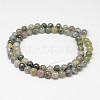 Natural Moss Agate Beads Strands X-G-F342-01-6mm-2