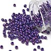 TOHO 6/0 Round Beads SEED-TR06-0461-1