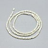 Natural White Shell Beads Strands G-A177-04-25-3