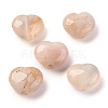 Natural Cherry Blossom Agate Beads G-K369-03G-1