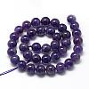 Natural Amethyst Beads Strands G-R446-6mm-21-2