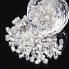 6/0 Two Cut Glass Seed Beads SEED-S033-05B-02-1