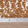 MIYUKI Delica Beads SEED-X0054-DB1734-4