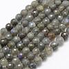 Natural Labradorite Beads Strands G-P322-30-6mm-1