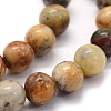 Natural Crazy Agate Beads Strands G-G763-10-10mm-3