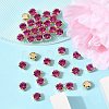 Preciosa® MAXIMA Crystal in Sew-On Cup X-PRC-SS29-70350-G-5