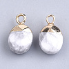 Electroplate Natural Howlite Charms X-G-S344-09F-2