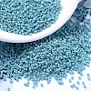 MIYUKI Delica Beads SEED-X0054-DB0375-1