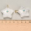 Natural Quartz Crystal Pendants G-Z157-01G-A05-3
