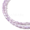 Natural Trochus Shell Beads Strands SHEL-K006-19B-3