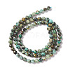 Natural African Turquoise(Jasper) Beads Strands X-G-F717-01-3