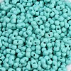 Baking Paint Glass Seed Beads X1-SEED-K010-A19-2