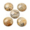 Natural Crazy Agate Cabochons G-C115-02B-23-1
