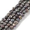 Dyed Natural Cultured Freshwater Pearl Beads Strands PEAR-A006-01B-X-2