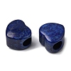 Dyed Natural Lapis Lazuli European Beads G-C269-01L-2