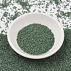 MIYUKI Delica Beads X-SEED-J020-DB2312-2