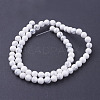 Synthetic Howlite Beads Strands X-G-E110-6mm-5-2