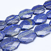 Natural Lapis Lazuli Beads Strands G-F530-01-32x28mm-1