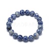 Natural Blue Spot Jasper Bead Stretch Bracelets BJEW-K212-C-039-2