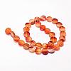 Natural Carnelian Beads Strands G-N0176-01-12x4.5mm-2
