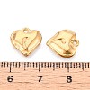 304 Stainless Steel Charms STAS-T065-24B-G-3