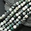 Natural Tree Agate Beads Strands G-K194-8mm-02-1