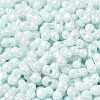 Opaque Colours Luster Glass Seed Beads SEED-B001-01A-02-3