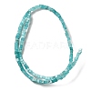Natural Amazonite Beads Strands G-B064-A05-3