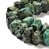 Natural African Turquoise(Jasper) Beads Strands G-N327-05-05-4
