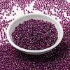 MIYUKI Round Rocailles Beads X-SEED-G009-RR3529-2
