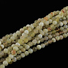 Dyed Natural Fire Agate Beads Strings G-R176-6mm-04-1