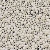 MIYUKI Delica Beads SEED-MY11-DB0883-3