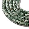 Natural Green Spot Jasper Beads Strands G-M420-A18-01-4