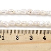 Natural Keshi Pearl Cultured Freshwater Pearl Beads Strands PEAR-P062-25E-X-5