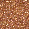 8/0 Round Glass Seed Beads SEED-US0003-3mm-169-2