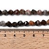 Natural Petrified Wood Beads Strands G-Z119-A21-01-6