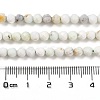 Natural Green Opal Beads Strands G-Z035-A02-03D-5