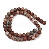 Natural Dendritic Jasper Beads Strands G-F591-24-8mm-3